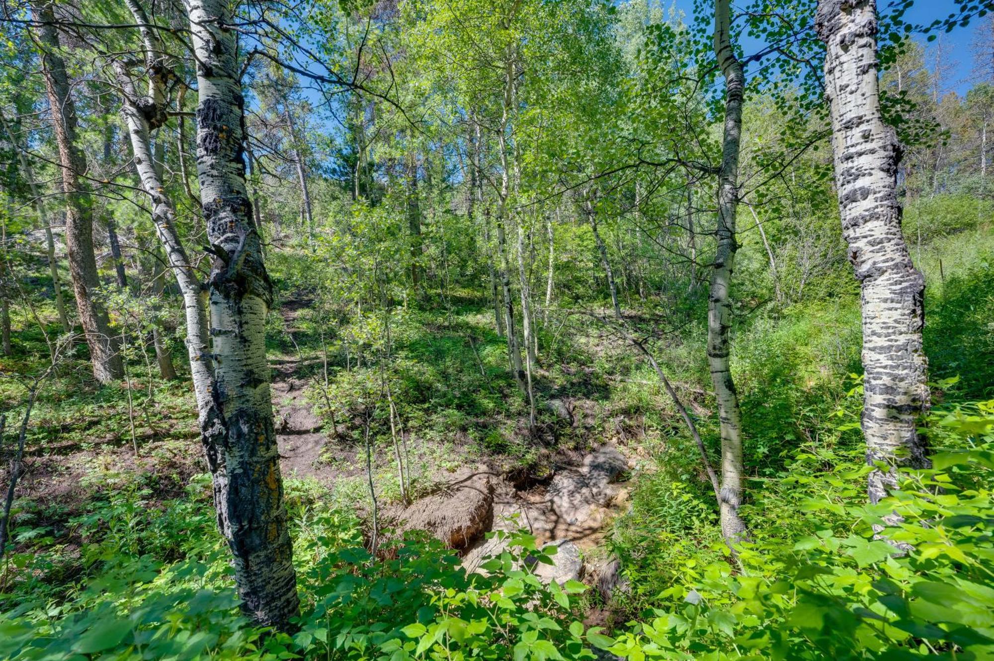 Stunning Golden Home With Deck About 35 Mi To Denver! Εξωτερικό φωτογραφία